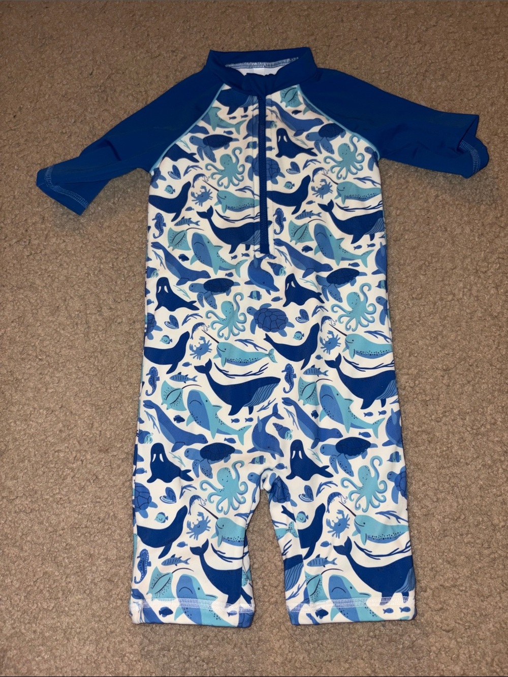 Bathing Suit - Picture 1 of 2